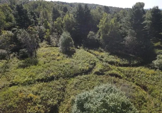 Land for Sale -  Ch. Boright, Mansonville, J0E 1X0