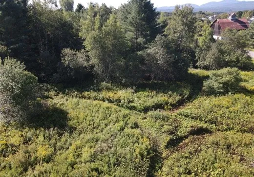Land for Sale -  Ch. Boright, Mansonville, J0E 1X0