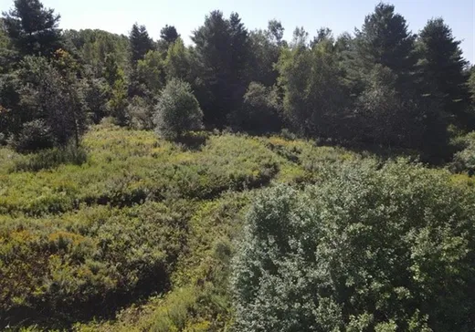 Land for Sale -  Ch. Boright, Mansonville, J0E 1X0