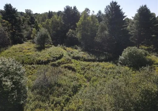 Land for Sale -  Ch. Boright, Mansonville, J0E 1X0