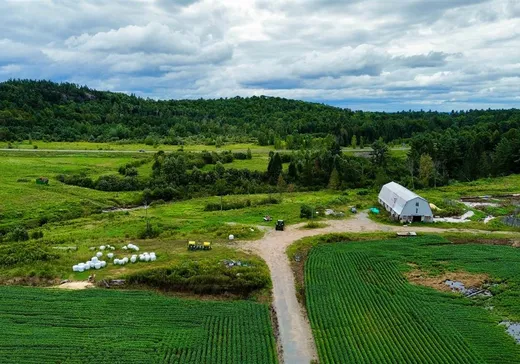Terrain à vendre - 131 Ch. Prophet E., Grenville, J0V1B0