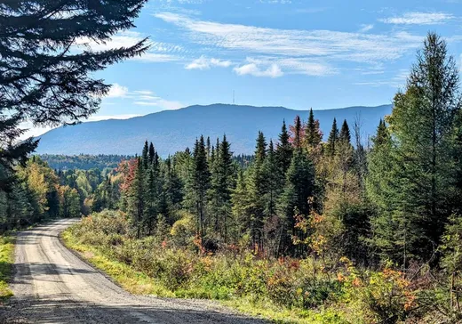 Terrain à vendre -  1er Rang, Notre-Dame-Des-Boies, J0B2E0