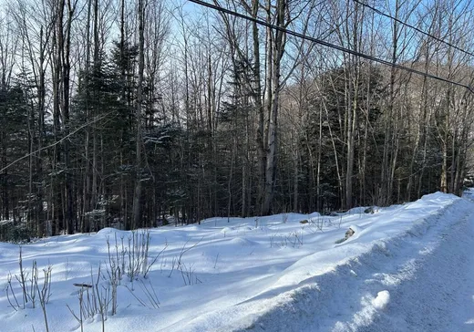 Terrain à vendre -  Ch. des Riverains, St-Augustin-De-Desmaures, J0B1B0