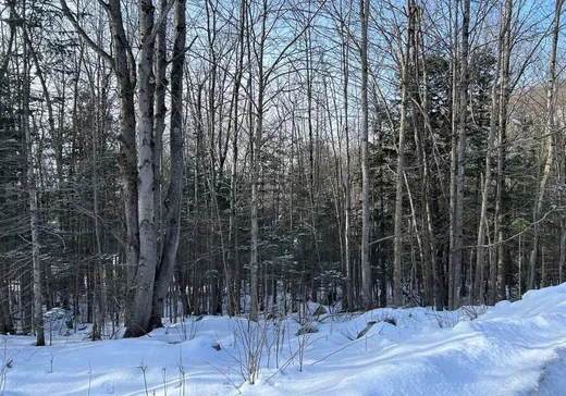 Terrain à vendre -  Ch. des Riverains, Saint-Augustin-de-Desmaures, J0B 1B0
