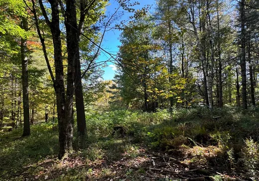 Terrain à vendre -  Ch. de l'Élysée, Canton De Stanstead, J0B1T0