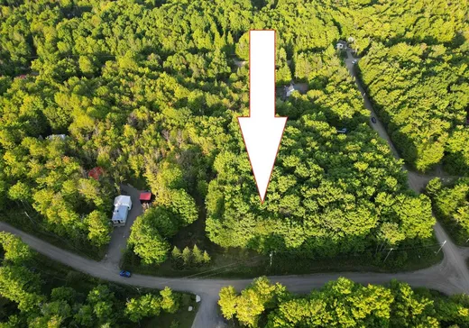 Terrain à vendre - 80 Ch. du Soleil, Notre-Dame-Des-Boies, J0B 2E0