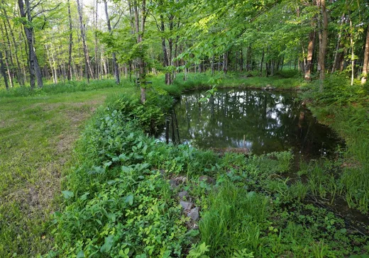 Terrain à vendre - 80 Ch. du Soleil, Notre-Dame-Des-Boies, J0B 2E0