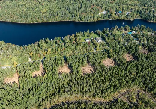 Terrain à vendre -  Ch. du Parc, Lambton, G0M1H0