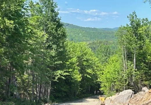 Terrain à vendre - 839 Rg Sacacomie, St-Alexis-Des-Monts, J0K 1V0