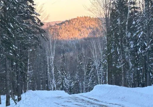 Terrain à vendre - 839 Rg Sacacomie, St-Alexis-Des-Monts, J0K 1V0