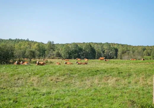 Land for Sale -  Ch. de la Rivière-du-Nord, Cookshire-Eaton, J0B 1M0