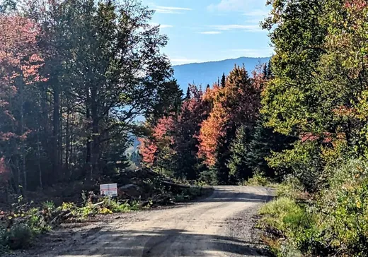 Terrain à vendre -  1er Rang, Notre-Dame-Des-Boies, J0B2E0