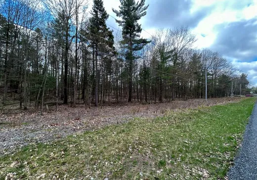 Land for Sale - 5185 Ch. Hemmings, Saint-Lucien, J0C 1N0