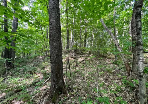 Land for Sale - 31 Rue Oak, Bolton-Est, J0E 1G0