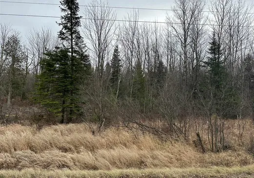 Terrain à vendre -  Ch. de Franceville, Lac-Mégantic, G0Y 1E1