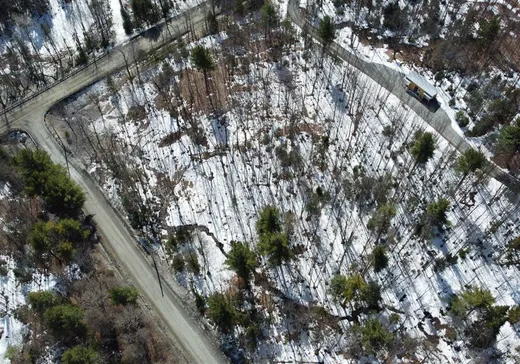 Terrain à vendre - 1 Ch. de la Belette, Magog, J1X6X7