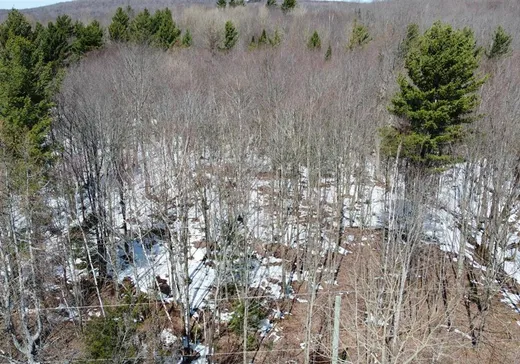 Terrain à vendre - 1 Ch. de la Belette, Magog, J1X 6X7