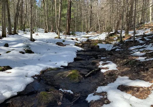 Terrain à vendre - 1 Ch. de la Belette, Magog, J1X 6X7