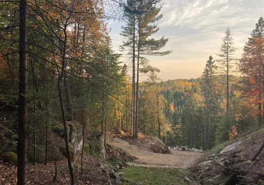 Land for sale -  Route 349, St-Didace, J0K2G0