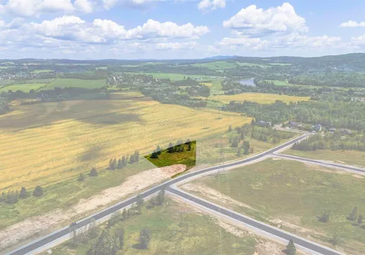 Terrain à vendre -  Rue Étienne-Desmarteau, Sherbrooke, H0H 0H0