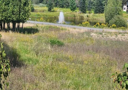 Terrain à vendre - 12 Rue du Parcours, Lac-Brome, J0E1R0