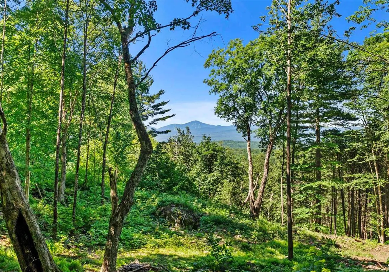 Land for Sale -  Ch. des Collines, Mansonville, J0E 1X0