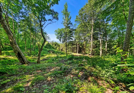 Land for Sale -  Ch. des Collines, Mansonville, J0E 1X0
