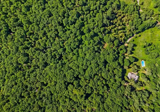 Land for Sale -  Ch. des Collines, Mansonville, J0E 1X0