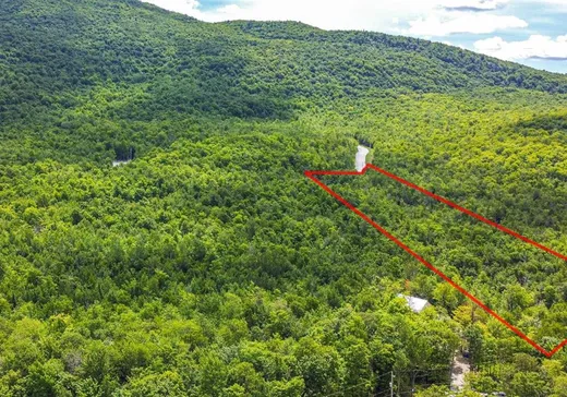 Terrain à vendre -  Ch. de la Tanière, Eastman, J0E1P0