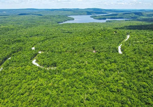 Terrain à vendre -  Ch. de la Tanière, Eastman, J0E 1P0