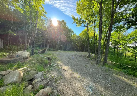 Terrain à vendre - 213 Grand ch. de l'Est, Notre-Dame-Des-Boies, J0B 2E0