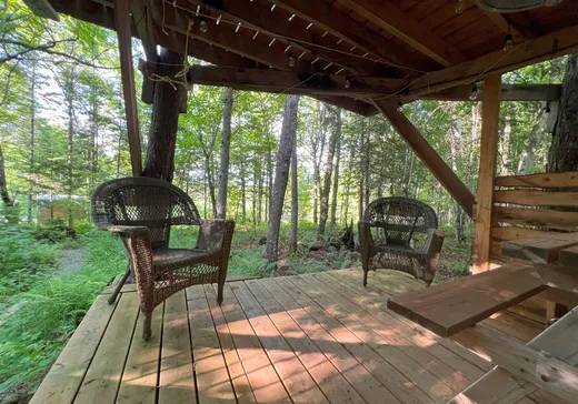 Terrain à vendre - 213 Grand ch. de l'Est, Notre-Dame-Des-Boies, J0B 2E0