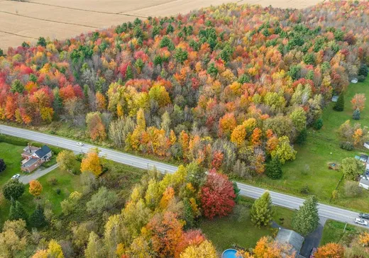 Terrain à vendre -  Rue Denison O., Granby, J2J0G7