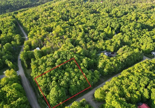 Land for Sale - 78Z Ch. du Soleil, Notre-Dame-Des-Boies, J0B 2E0