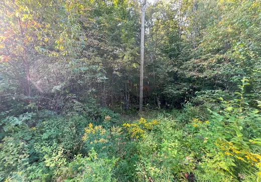 Land for Sale - 18 Ch. des Outardes, Notre-Dame-Des-Boies, J0B 2E0