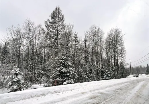 Terrain à vendre - 1 Rue Croteau, Magog, J1X7X8