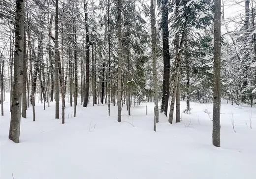 Land for Sale - 1 Rue Croteau, Magog, J1X 7X8