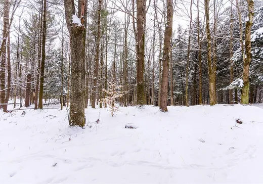 Terrain à vendre -  Ch. Élie, Sutton, J0E 2K0