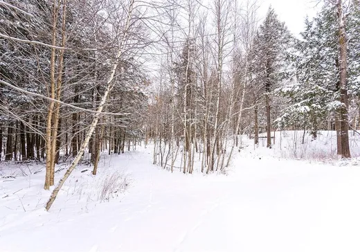 Terrain à vendre -  Ch. Élie, Sutton, J0E 2K0