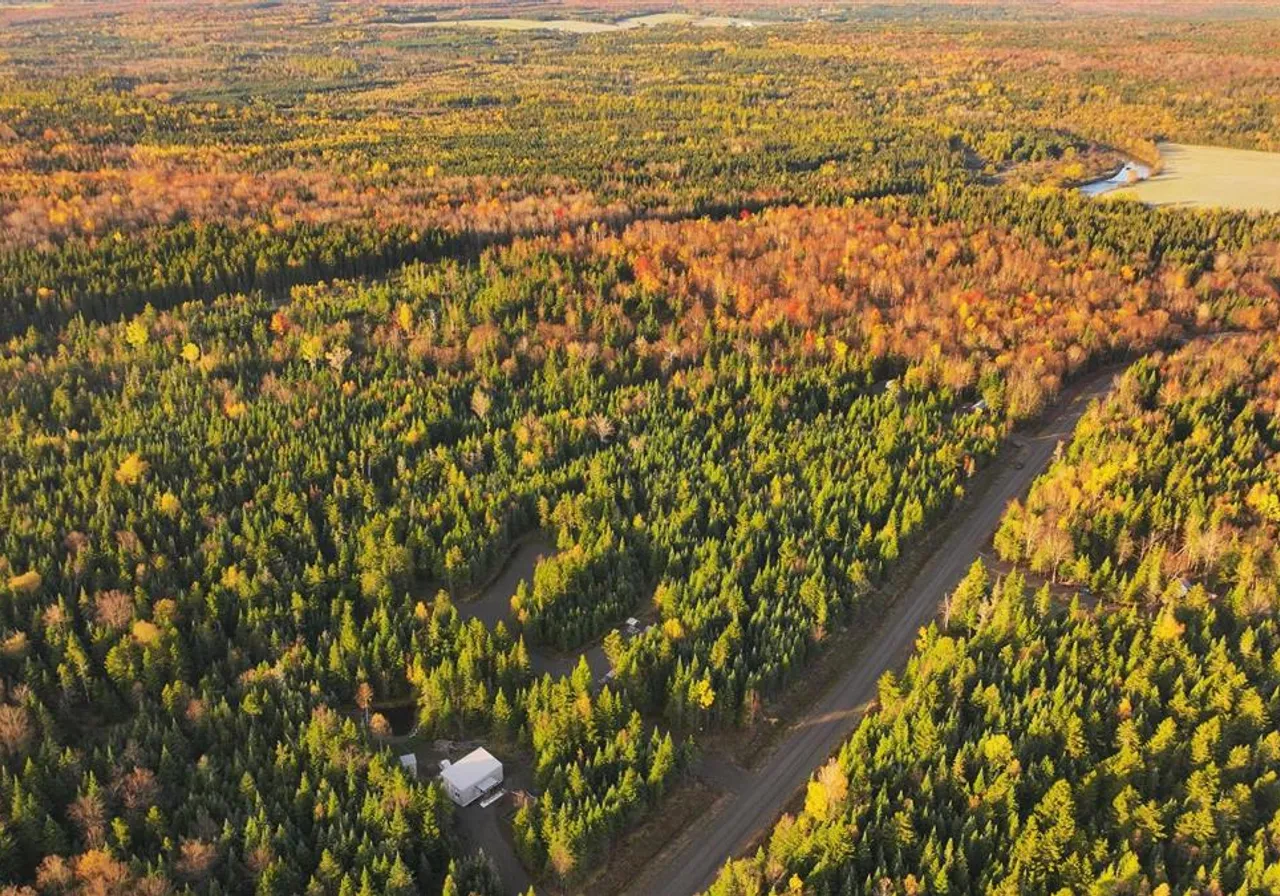 Terrain à vendre -  Ch. des Bouleaux, Lac-Mégantic, J0B 1Y0