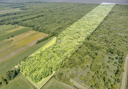 Terrain à vendre -  Rg du Petit-Bois, Pierreville, J0G1J0