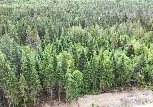 Terrain à vendre - 861 Ch. Turcotte, Lac-Mégantic, G0Y1E0