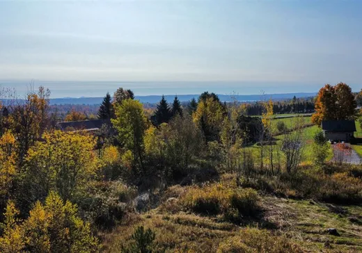 Terrain à vendre -  Rue Bellegarde, Magog, J1X 0P6