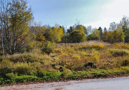 Land for Sale -  Rue Bellegarde, Magog, J1X 0P6