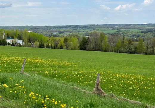 Terrain à vendre -  Ch. de Ladd's-Mills, Coaticook, J1A 2S2
