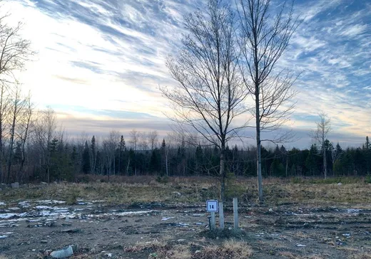 Land for Sale -  Rue de l'Harmonie, Lac-Mégantic, G6B 0A1