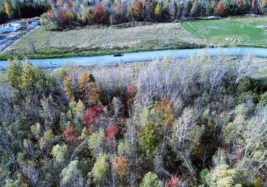 Land for Sale - 5 Rue Poirier, St-Francois-Xavier-de-Brompton, J0B 2V0