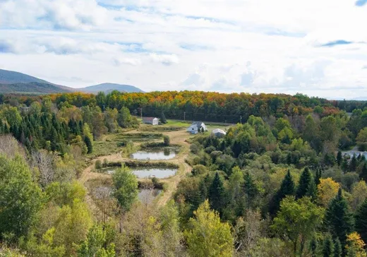 Terrain à vendre - 171Z Ch. du Quatre-Milles, Lac-Mégantic, J0B1Y0