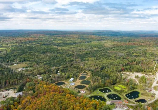 Land for Sale - 171Z Ch. du Quatre-Milles, Lac-Mégantic, J0B 1Y0