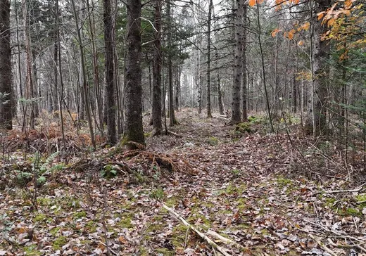 Land for Sale - 109 Ch. Domon, Weedon, J0B 3J0